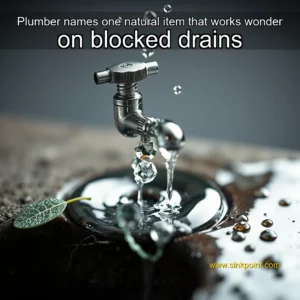 Read more about the article Plumber names one natural item that works wonder on blocked drains
