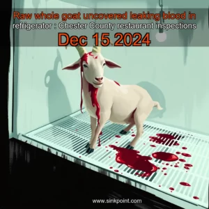 Read more about the article Raw whole goat uncovered  leaking blood in refrigerator : Chester County restaurant inspections  Dec  15  2024
